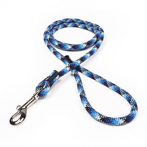 Blue Snake