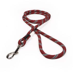 Maroon w/ Teal & White Tracer Rope Leash
