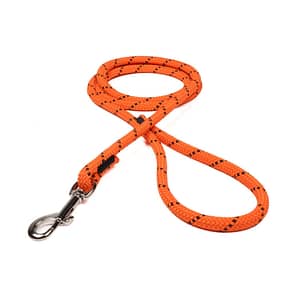 Neon Orange w/ Black Tracer