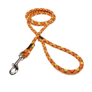 Yellow w/ Neon Orange & Black