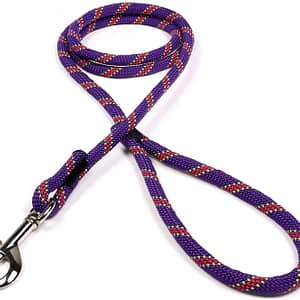Purple with Red and Neon Green Tracer Dog Leash