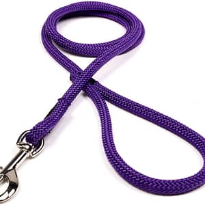 Purple Dog Leash