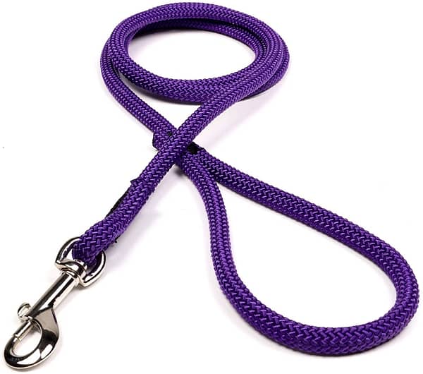 Purple Dog Leash