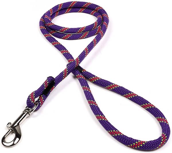 Purple with Red and Neon Green Tracer Dog Leash