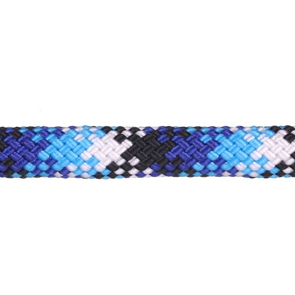 Blue Snake - Image 2