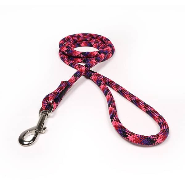 Candy Snake Rope Leash